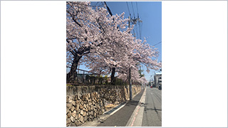 東灘区本山中町二丁目（宅地分譲）